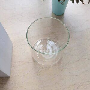 Simple Clear Glass Vase